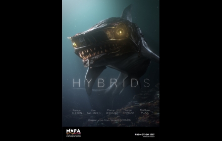 HYBRIDS / HÍBRIDOS