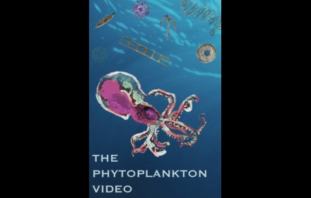 THE PHYTOPLANKTON VIDEO