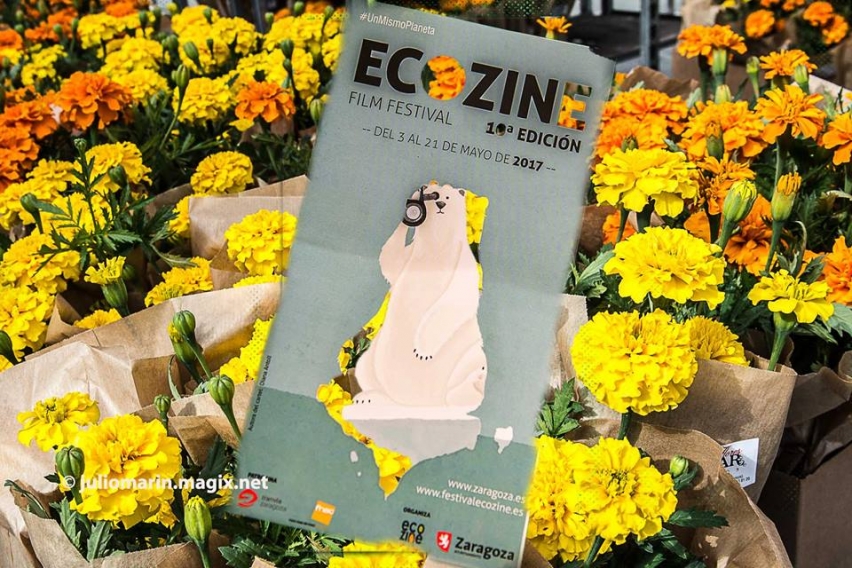 Entrega programas Ecozine 2017